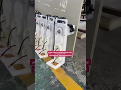 दोहरी बैरल बॉडी पीपीएन मिनी इलेक्ट्रोप्लाटिंग बैरल इलेक्ट्रोप्लाटिंग टैंक के लिए